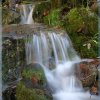 IMG_7545